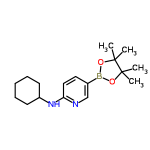 N-环己基-5-(4,4,5,5-四甲基-1,3,2-二氧硼烷)-2-氨基吡啶结构式_1073354-34-3结构式