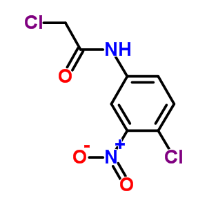 2-Chloro-n-(4-chloro-3-nitrophenyl)acetamide Structure,196935-03-2Structure