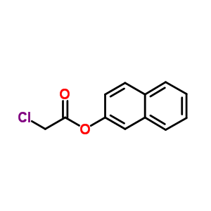 2-氯乙酸-2-萘酯结构式_26177-06-0结构式