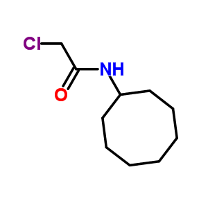 2-氯-n-环辛基乙酰胺结构式_379255-43-3结构式