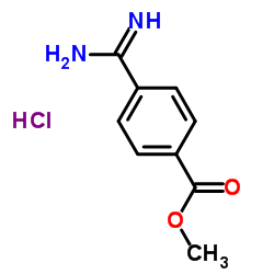 4-脒基苯甲酸甲酯盐酸盐结构式_42823-73-4结构式