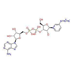 3-叠氮基吡啶-腺嘌呤二核苷酸结构式_50695-15-3结构式