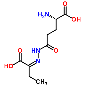 alpha-氧代丁酸 gamma-谷氨酰腙结构式_52085-78-6结构式