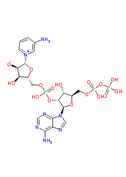 3-氨基吡啶腺嘌呤二核苷酸磷酸酯结构式_54758-28-0结构式
