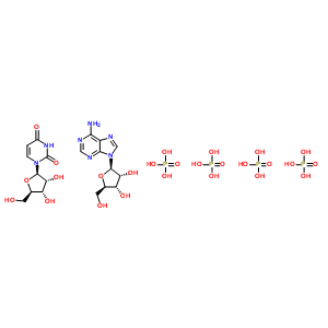 腺苷三磷酸酯-尿苷单磷酸酯结构式_61070-25-5结构式