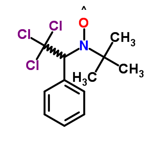 1,1-二甲基乙基 2,2,2-三氯-1-苯基乙基硝基氧化物结构式_63711-04-6结构式