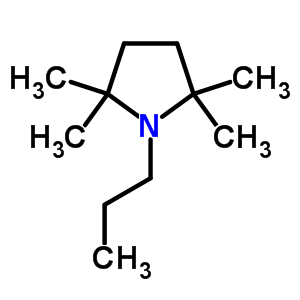 1-丙基-2,2,5,5-四甲基吡咯烷结构式_63886-59-9结构式