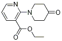 Ethyl 2-(4-oxopiperidin-1-yl)nicotinate Structure,1016524-78-9Structure