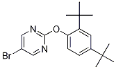 5-Bromo-2-(2,4-di-tert-butylphenoxy)pyrimidine Structure,1017788-99-6Structure