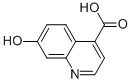 7-Hydroxy-4-quinolinecarboxylic acid Structure,1017969-32-2Structure