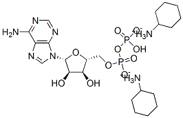 Cyclohexanaminium((2r,3s,4r,5r)-5-(6-amino-9h-purin-9-yl)-3,4-dihydroxytetrahydrofuran-2-yl)methylhydrogendiphosphate Structure,102029-87-8Structure