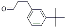 3-(3-Tert-butylphenyl)propanal Structure,1023288-21-2Structure