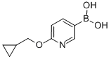 6-(环丙基甲氧基)吡啶-3-硼酸结构式_1028749-31-6结构式