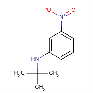 N-tert-butyl-3-nitrobenzenamine Structure,103394-70-3Structure