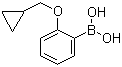 2-(Cyclopropylmethoxy)phenylboronic acid Structure,1050510-36-5Structure