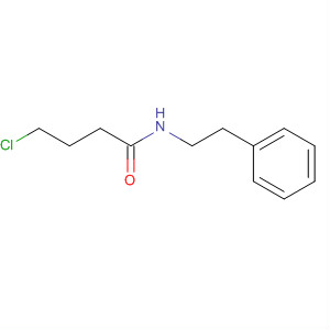 4-Chloro-n-(2-phenylethyl)butanamide Structure,105522-45-0Structure