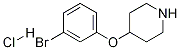 4-(3-Bromophenoxy)piperidine, HCl Structure,1072944-50-3Structure