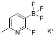 2-Fluoro-6-methylpyridine-3-trifluoroborate potassium salt Structure,1098173-30-8Structure