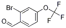 2-Bromo-4-(trifluoromethoxy)benzaldehyde Structure,1114808-87-5Structure