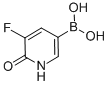 (5-Fluoro-6-hydroxypyridin-3-yl)boronicacid Structure,1141886-36-3Structure