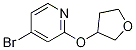 4-Bromo-2-(tetrahydrofuran-3-yloxy)pyridine Structure,1142194-55-5Structure