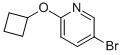 5-Bromo-2-(cyclobutyloxy)pyridine Structure,1159816-70-2Structure