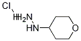 1-(Tetrahydro-2h-pyran-4-yl)hydrazine Structure,116312-69-7Structure