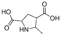 5-Methyl-2,4-pyrrolidinedicarboxylic acid Structure,117835-09-3Structure