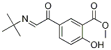 Methyl 5-[(tert-butylimino)acetyl]salicylate Structure,1185239-25-1Structure