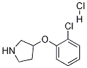 3-(2-Chlorophenoxy)pyrrolidine hydrochloride Structure,1185298-15-0Structure