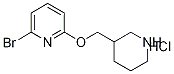 2-Bromo-6-(piperidin-3-ylmethoxy)-pyridine hydrochloride Structure,1185308-11-5Structure