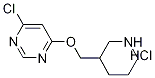 4-Chloro-6-(piperidin-3-ylmethoxy)-pyrimidine hydrochloride Structure,1185309-95-8Structure