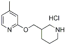 4-Methyl-2-(piperidin-3-ylmethoxy)-pyridine hydrochloride Structure,1185310-76-2Structure