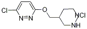 3-Chloro-6-(piperidin-3-ylmethoxy)-pyridazine hydrochloride Structure,1185311-75-4Structure