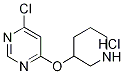 4-Chloro-6-(piperidin-3-yloxy)-pyrimidine hydrochloride Structure,1185311-81-2Structure