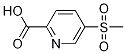 5-(Methylsulfonyl)-2-Pyridinecarboxylic acid Structure,1186663-48-8Structure