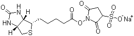 Sulfosuccinimidyl biotin Structure,119616-38-5Structure