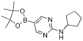 2-(Cyclopentylamino)pyrimidine-5-boronic acid pinacol ester Structure,1202805-22-8Structure