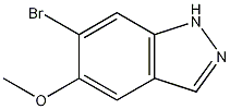 6-Bromo-5-methoxy-1H-indazole Structure,1206800-17-0Structure