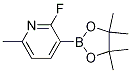 2-Fluoro-6-methylpyridine-3-boronic acid pinacol ester Structure,1218790-38-5Structure