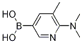 6-(Dimethylamino)-5-methylpyridin-3-ylboronic acid Structure,1223527-80-7Structure