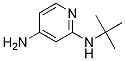 N2-tert-butylpyridine-2,4-diamine Structure,1249985-74-7Structure