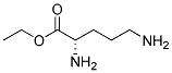 Ornithine, ethyl ester (9ci) Structure,125511-25-3Structure