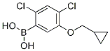 24-Dichloro-5-(cyclopropylmethoxy)phenylboronic acid Structure,1256354-91-2Structure