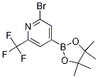 2-溴-6-三氟甲基吡啶-4-硼酸频那醇酯结构式_1256360-49-2结构式