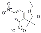 1256633-16-5结构式