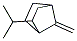 Bicyclo[2.2.1]heptane, 7-methylene-2-(1-methylethyl)-(9ci) Structure,125909-73-1Structure