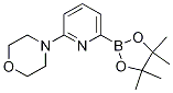 4-(6-(4,4,5,5-四甲基-1,3,2-二噁硼烷-2-基)吡啶-2-基)吗啉结构式_1260374-06-8结构式