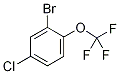 2-Bromo-4-chloro-1-(trifluoromethoxy)benzene Structure,1260810-00-1Structure