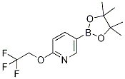 5-(4,4,5,5-Tetramethyl-1,3,2-dioxaborolan-2-yl)-2-(2,2,2-trifluoroethoxy)pyridine Structure,1268467-17-9Structure